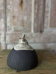 Kaanega nõu HAKKAME SÄTTIMA