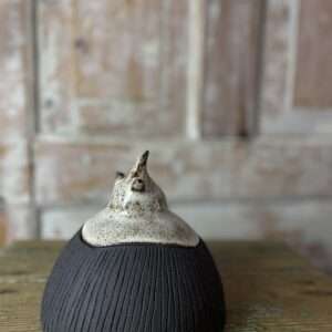 Kaanega nõu HAKKAME SÄTTIMA